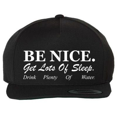 Be Nice Get Lots Of Sleep Drink Plenty Of Water Wool Snapback Cap