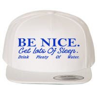 Be Nice Get Lots Of Sleep Drink Plenty Of Water Inspired Wool Snapback Cap