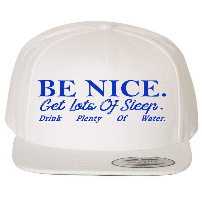 Be Nice Get Lots Of Sleep Drink Plenty Of Water Inspired Wool Snapback Cap