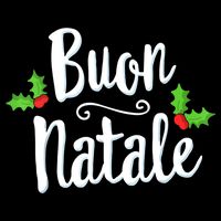 Buon Natale Italy Pride Xmas Holiday Italian Christmas Wool Snapback Cap