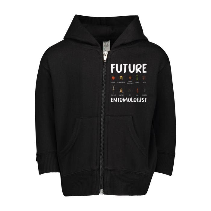 Biology Nerd Insect Collector Future Entomologist Beetle Bug Toddler Zip Fleece Hoodie