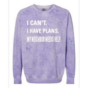 Best Neighbor National Good Neighbor Day Cute Gift Colorblast Crewneck Sweatshirt