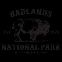 Badlands National Park South Dakota American Bison Souvenir Womens Tank Top