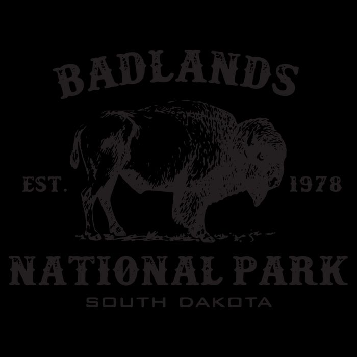 Badlands National Park South Dakota American Bison Souvenir Womens Tank Top
