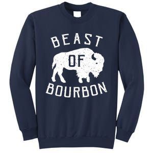 Badlands National Park South Dakota American Bison Souvenir Sweatshirt