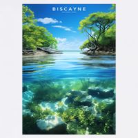 Biscayne National Park Photographic 11oz C Handle Ceramic Mug