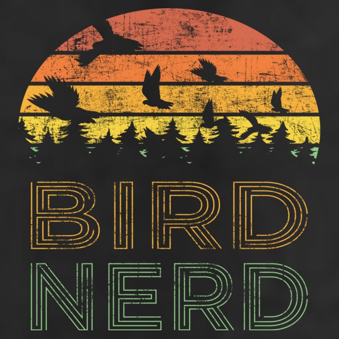 Bird Nerd Retro Vintage Distressed Bird Watcher Watching Gift Hat