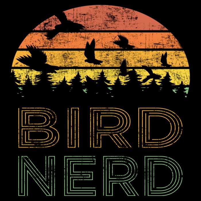 Bird Nerd Retro Vintage Distressed Bird Watcher Watching Gift Wool Snapback Cap