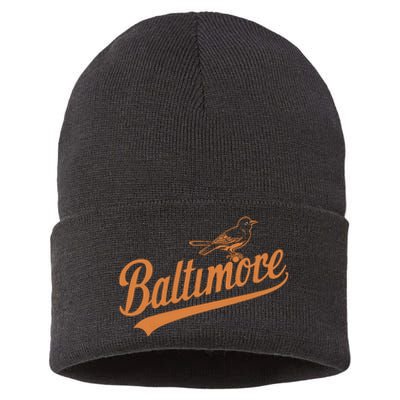 Baltimore Name Retro Vintage Sustainable Knit Beanie