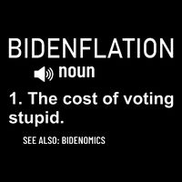 Bidenflation Noun The Cost Of Voting Stupid Wool Snapback Cap