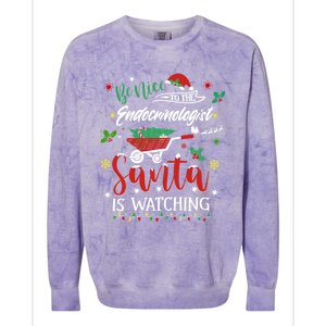 Be Nice To The Endocrinologists Christmas Hormone Doctor Pj Swea Colorblast Crewneck Sweatshirt