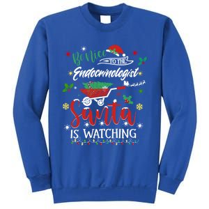 Be Nice To The Endocrinologists Christmas Hormone Doctor Pj Swea Sweatshirt