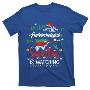 Be Nice To The Endocrinologists Christmas Hormone Doctor Pj Swea T-Shirt