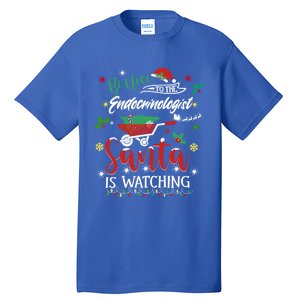 Be Nice To The Endocrinologists Christmas Hormone Doctor Pj Swea Tall T-Shirt