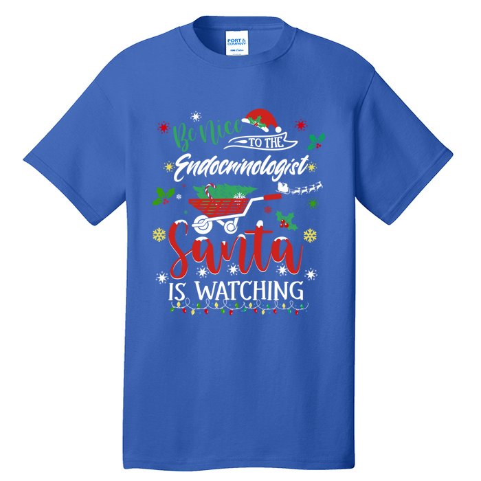 Be Nice To The Endocrinologists Christmas Hormone Doctor Pj Swea Tall T-Shirt