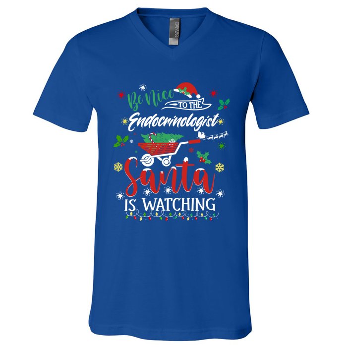 Be Nice To The Endocrinologists Christmas Hormone Doctor Pj Swea V-Neck T-Shirt