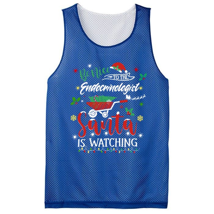 Be Nice To The Endocrinologists Christmas Hormone Doctor Pj Swea Mesh Reversible Basketball Jersey Tank