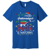 Be Nice To The Endocrinologists Christmas Hormone Doctor Pj Swea Premium T-Shirt