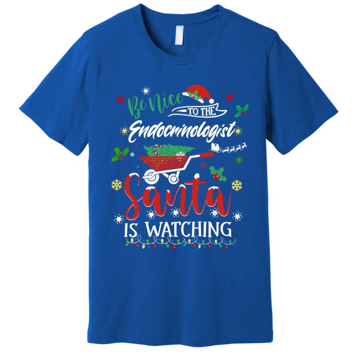 Be Nice To The Endocrinologists Christmas Hormone Doctor Pj Swea Premium T-Shirt