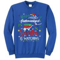 Be Nice To The Endocrinologists Christmas Hormone Doctor Pj Swea Tall Sweatshirt