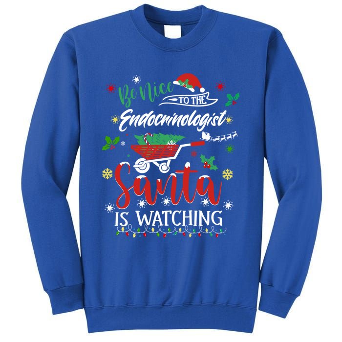 Be Nice To The Endocrinologists Christmas Hormone Doctor Pj Swea Tall Sweatshirt