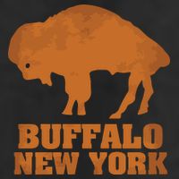Buffalo New York 11oz C Handle Ceramic Mug