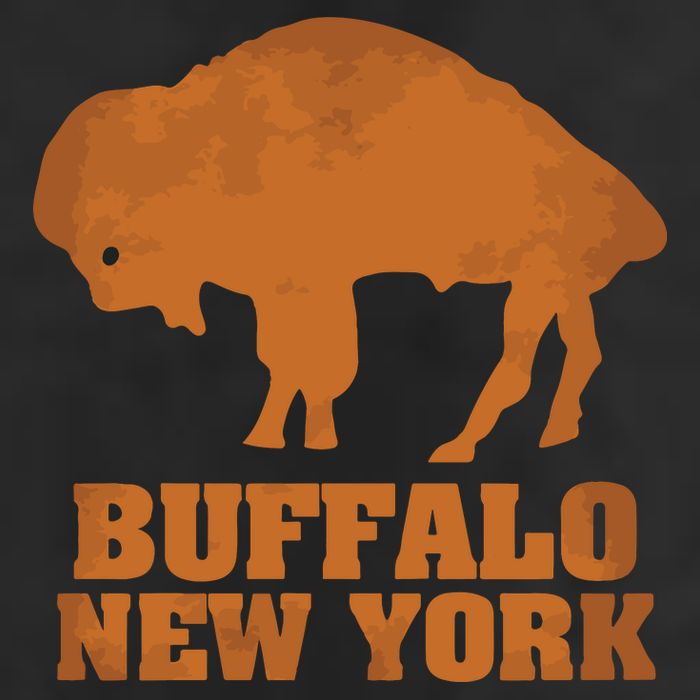 Buffalo New York 11oz C Handle Ceramic Mug