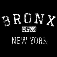 Bronx New York Ny Backpack