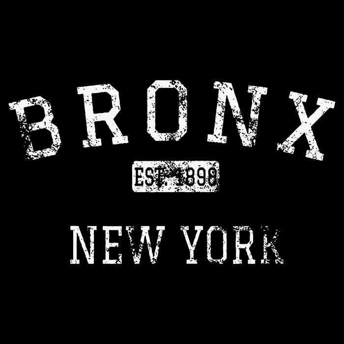 Bronx New York Ny Backpack