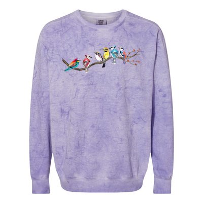 Birds On A Branch Birding Bird Watching Bird Watcher Colorblast Crewneck Sweatshirt