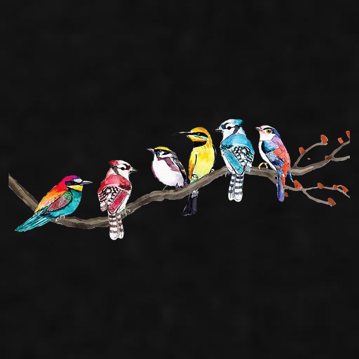 Birds On A Branch Birding Bird Watching Bird Watcher Ladies PosiCharge Tri-Blend Wicking Tank