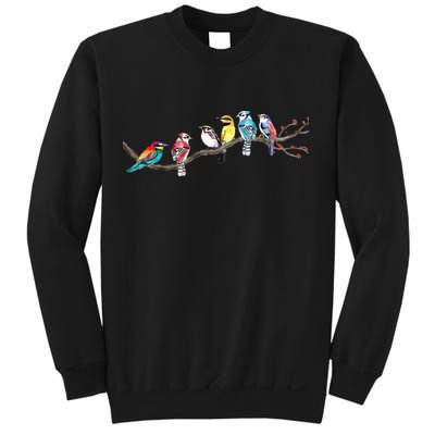 Birds On A Branch Birding Bird Watching Bird Watcher Sweatshirt