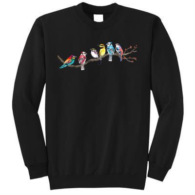 Birds On A Branch Birding Bird Watching Bird Watcher Sweatshirt