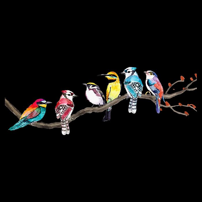 Birds On A Branch Birding Bird Watching Bird Watcher Kids T-Shirt