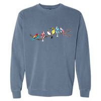 Birds On A Branch Birding Bird Watching Bird Watcher Garment-Dyed Sweatshirt