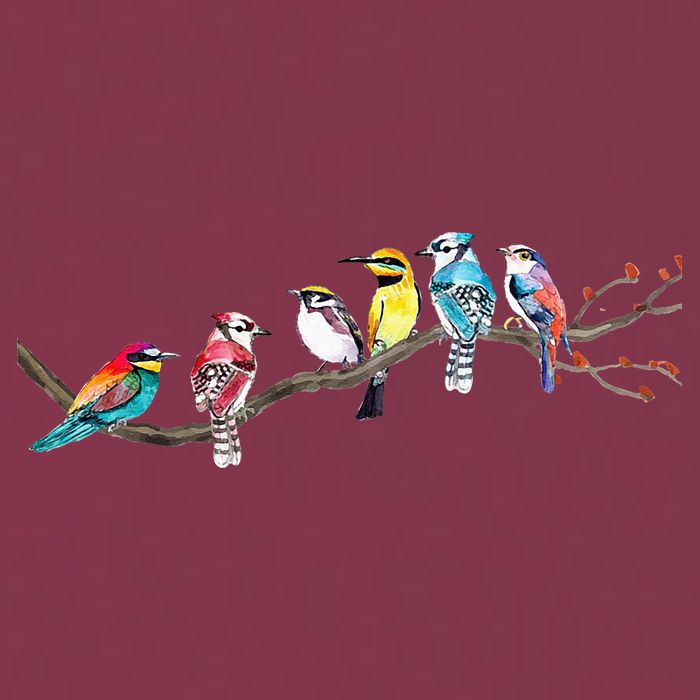 Birds On A Branch Birding Bird Watching Bird Watcher 16oz Travel Tumbler
