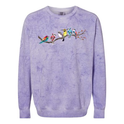 Birds On A Branch Birding Bird Watching Bird Watcher Colorblast Crewneck Sweatshirt