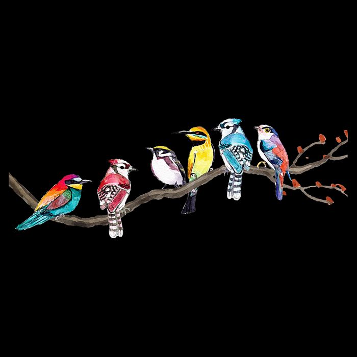 Birds On A Branch Birding Bird Watching Bird Watcher 7-Panel Snapback Hat