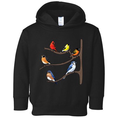 Birds On A Branch Birding Birdwatching Birder Bird Watcher Toddler Hoodie