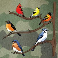 Birds On A Branch Birding Birdwatching Birder Bird Watcher Legacy Tie Dye Trucker Hat