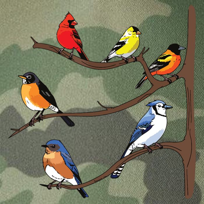Birds On A Branch Birding Birdwatching Birder Bird Watcher Legacy Tie Dye Trucker Hat