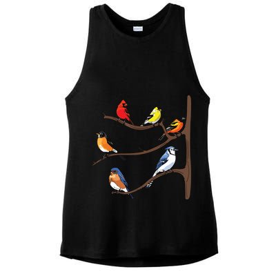 Birds On A Branch Birding Birdwatching Birder Bird Watcher Ladies PosiCharge Tri-Blend Wicking Tank