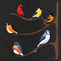 Birds On A Branch Birding Birdwatching Birder Bird Watcher 7 Panel Mesh Trucker Snapback Hat