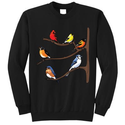 Birds On A Branch Birding Birdwatching Birder Bird Watcher Tall Sweatshirt