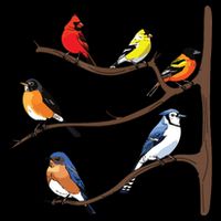 Birds On A Branch Birding Birdwatching Birder Bird Watcher Tall Sweatshirt
