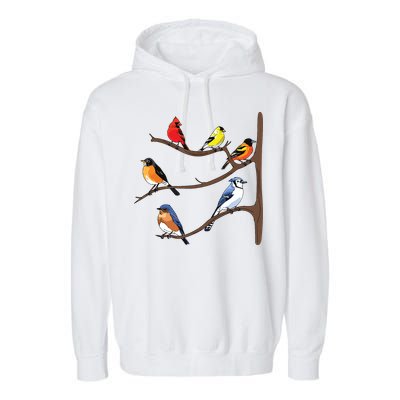 Birds On A Branch Birding Birdwatching Birder Bird Watcher Garment-Dyed Fleece Hoodie