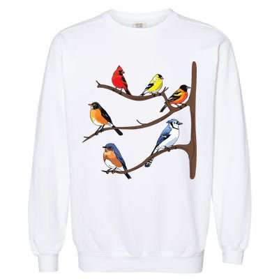 Birds On A Branch Birding Birdwatching Birder Bird Watcher Garment-Dyed Sweatshirt