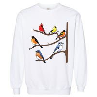 Birds On A Branch Birding Birdwatching Birder Bird Watcher Garment-Dyed Sweatshirt