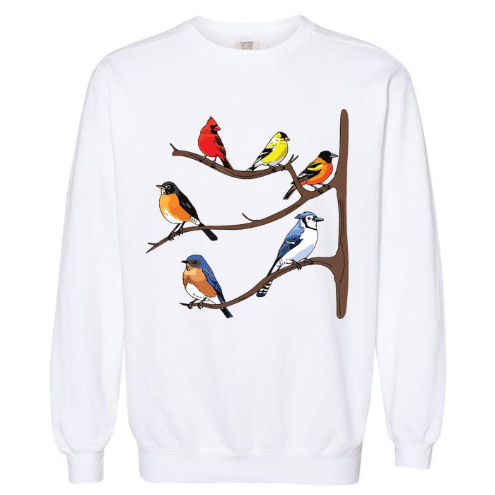 Birds On A Branch Birding Birdwatching Birder Bird Watcher Garment-Dyed Sweatshirt