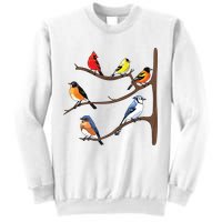 Birds On A Branch Birding Birdwatching Birder Bird Watcher Sweatshirt